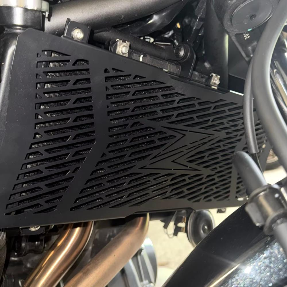 Radiator Protector Cover Guard / Grill - Kawasaki Z650 / Z650RS 2017-2024